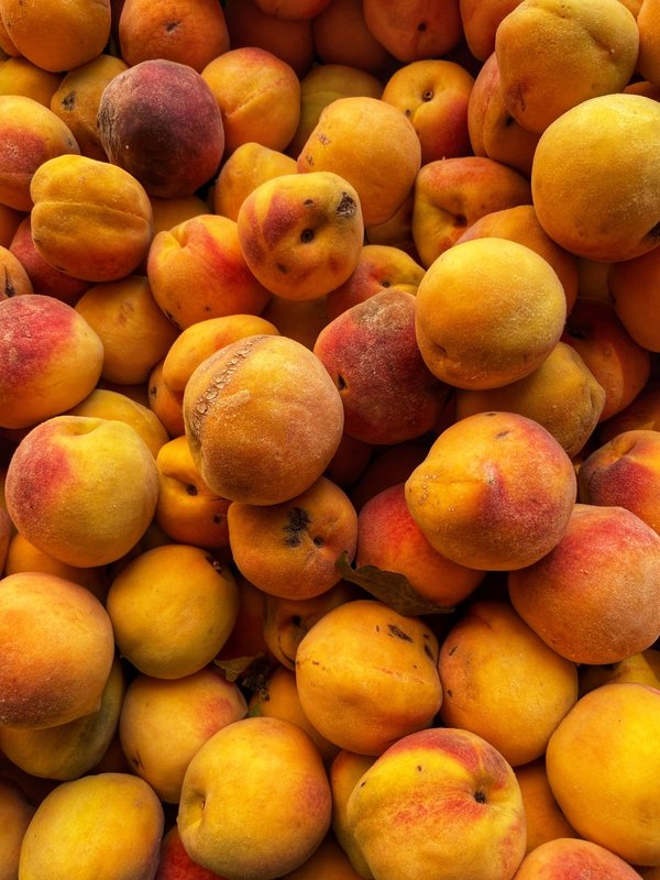 Comment vivre une expérience de pêche traditionnelle en Bretagne ?