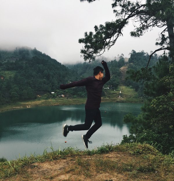 Explorer les fjords de la Nouvelle-Zélande en kayak : paysages majestueux et aventure aquatique