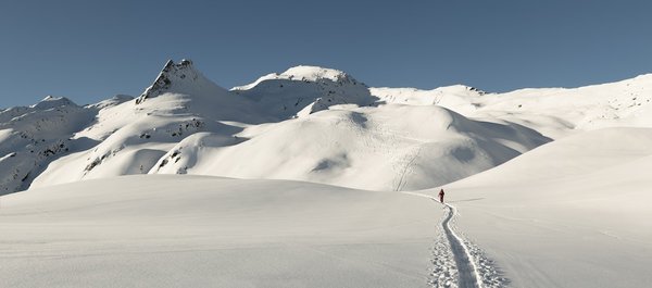 Est-il possible de louer une cabane dans les arbres en Afrique pour des safaris ?