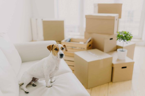 Astuces pour camper confortablement lors de pluies torrentielles en camping de plage.