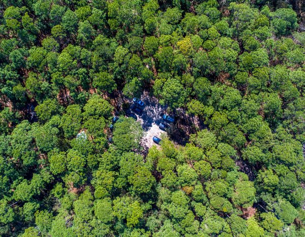 Où trouver les meilleurs spots pour l'observation des dauphins en Nouvelle-Zélande ?