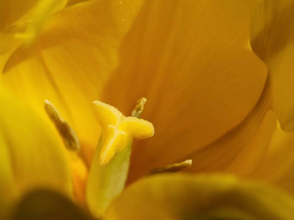 Comment vivre une immersion totale dans la culture amérindienne en Alaska ?